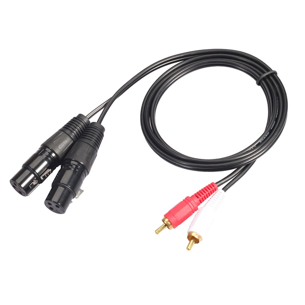 Hoogwaardige XLR naar RCA audi - Audio Cable Rca recensie en prijs