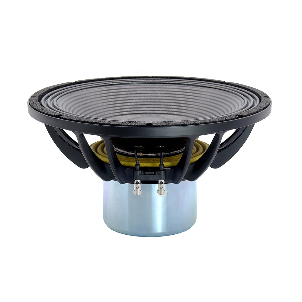 15IPAL Nieuwe Professionele Au - Subwoofer recensie en prijs