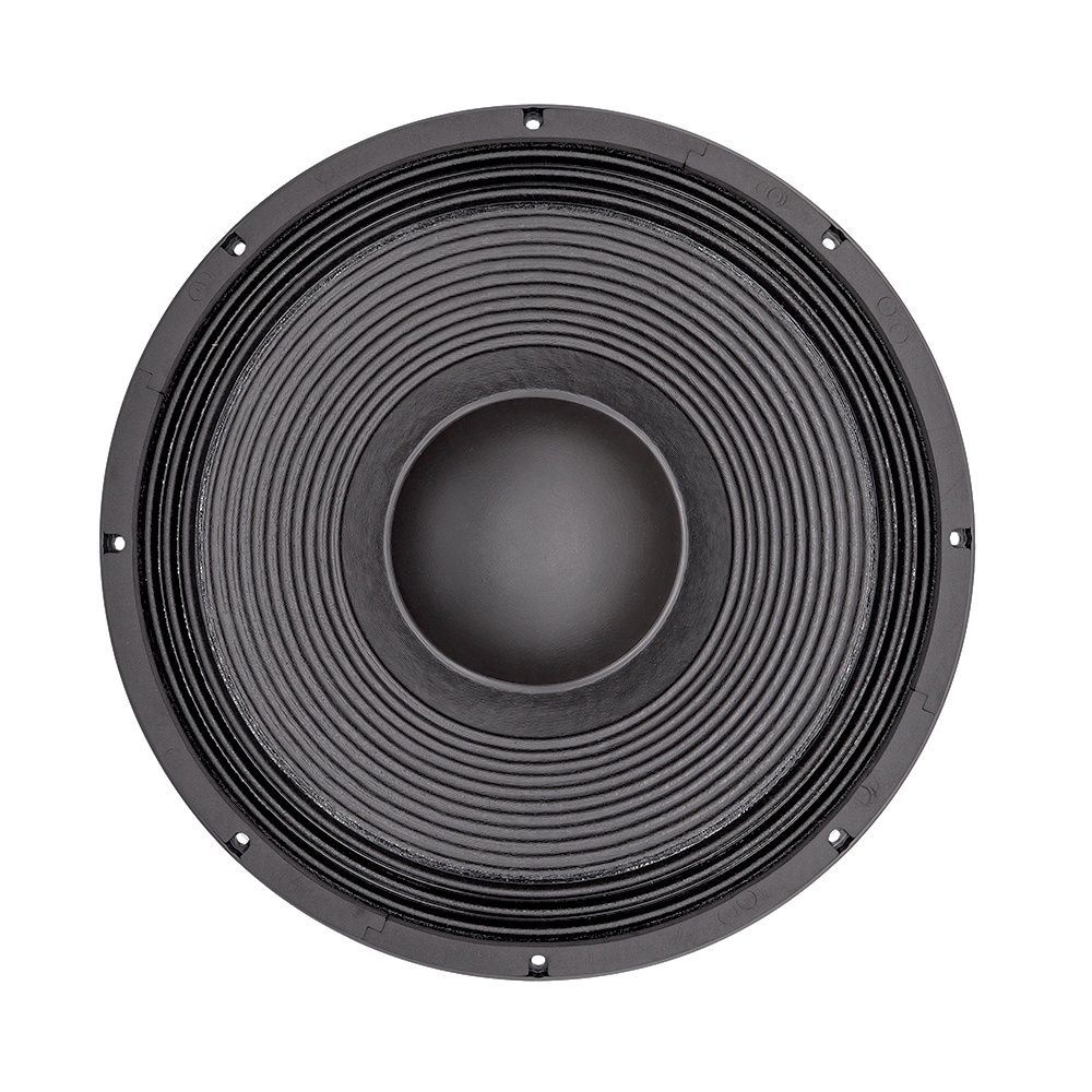 21'' Professioneel Audiosystee - Subwoofer recensie en prijs